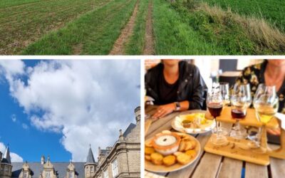 Qu&rsquo;est-ce qu&rsquo;on te propose à Dranouter ?